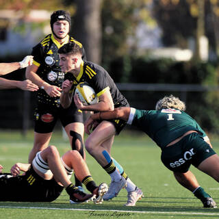 01/12/2024 - Espoirs - Stade Rochelais 29 - 26 Section Paloise