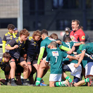 09/04/2022 - Cadets Gaudermen - Stade Rochelais 20 / 23 Pau 