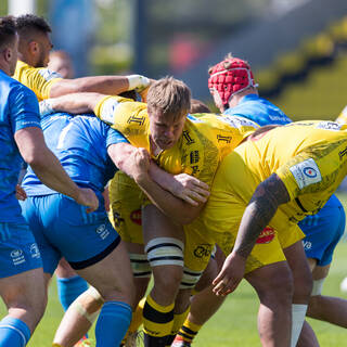 02/05/2020 - 1/2 Finale Champions Cup - Stade Rochelais 32/23 Leinster Rugby