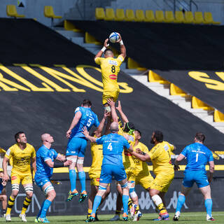 02/05/2020 - 1/2 Finale Champions Cup - Stade Rochelais 32/23 Leinster Rugby