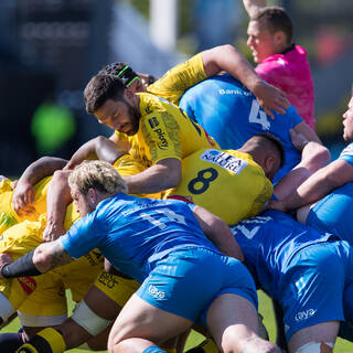 02/05/2020 - 1/2 Finale Champions Cup - Stade Rochelais 32/23 Leinster Rugby