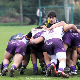 03/02/2024 - Cadets Alamercery - Stade Rochelais 53 / 07 SA XV