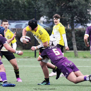 03/02/2024 - Crabos - Stade Rochelais 59 / 00 SA XV