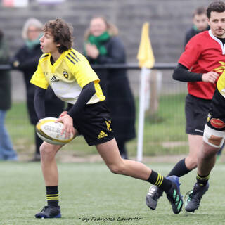 03/02/2024 - Crabos - Stade Rochelais 59 / 00 SA XV