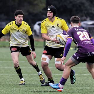 03/02/2024 - Crabos - Stade Rochelais 59 / 00 SA XV