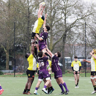 03/02/2024 - Crabos - Stade Rochelais 59 / 00 SA XV