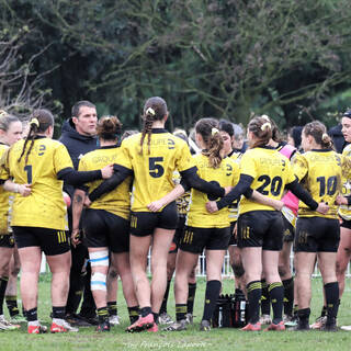 03/02/2024 - U18F XV Élite - Stade Rochelais 14 / 31 Brive