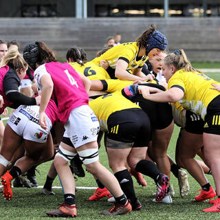 03/04/2022 - Élite 2 Féminine - Stade Rochelais 29 / 10 Dijon