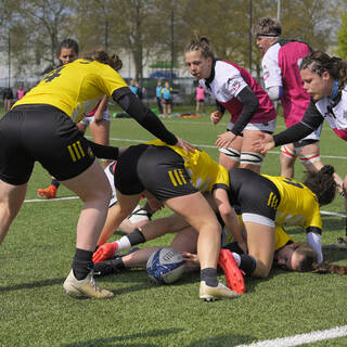 03/04/2022 - Élite 2 Féminine - Stade Rochelais 29 / 10 Dijon