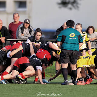 03/11/2024 - Élite 2 - Stade Rochelais 80 / 00 Dax