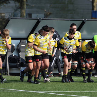 04/03/2023 - Cadets Gaudermen - Stade Rochelais 45 / 12 Montauban