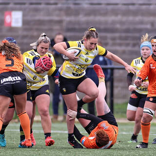 04/12/2022 - Élite 2 - Stade Rochelais 75 / 12 Narbonne