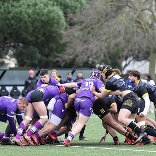 06/02/2022 - Crabos - Stade Rochelais 55 / 6 Bourg-en-Bresse