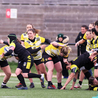 06/02/2022 - Réserve Féminine - Stade Rochelais 29 / 5 La Couronne