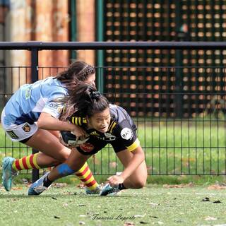 06/10/2024 - Élite 2 - Stade Rochelais 65 / 00 USAP