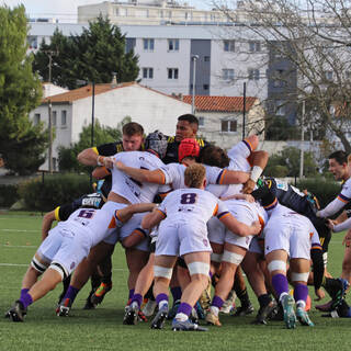 06/11/2022 - Espoirs - Stade Rochelais 31 / 15 SA XV