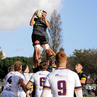 06/11/2022 - Espoirs - Stade Rochelais 31 / 15 SA XV