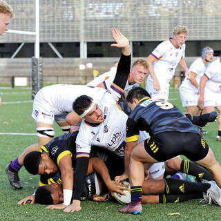 06/11/2022 - Espoirs - Stade Rochelais 31 / 15 SA XV