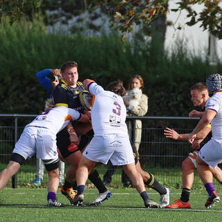 06/11/2022 - Espoirs - Stade Rochelais 31 / 15 SA XV