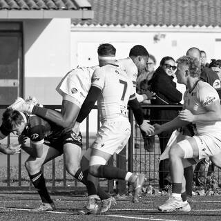 06/11/2022 - Espoirs - Stade Rochelais 31 / 15 SA XV