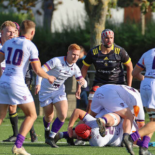 06/11/2022 - Espoirs - Stade Rochelais 31 / 15 SA XV