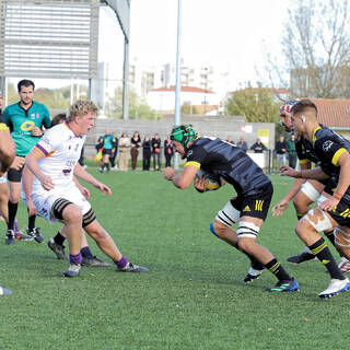 06/11/2022 - Espoirs - Stade Rochelais 31 / 15 SA XV