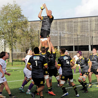 06/11/2022 - Espoirs - Stade Rochelais 31 / 15 SA XV