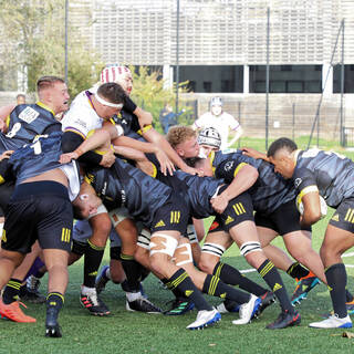 06/11/2022 - Espoirs - Stade Rochelais 31 / 15 SA XV