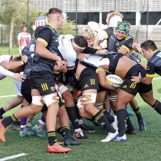 06/11/2022 - Espoirs - Stade Rochelais 31 / 15 SA XV