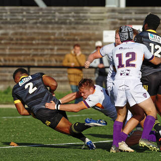 06/11/2022 - Espoirs - Stade Rochelais 31 / 15 SA XV