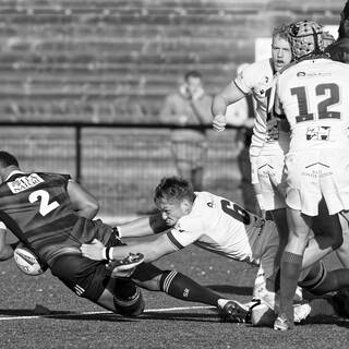 06/11/2022 - Espoirs - Stade Rochelais 31 / 15 SA XV