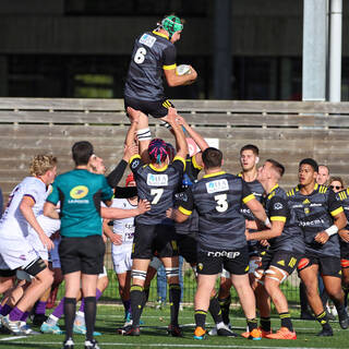 06/11/2022 - Espoirs - Stade Rochelais 31 / 15 SA XV