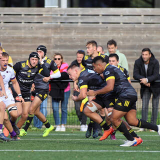 06/11/2022 - Espoirs - Stade Rochelais 31 / 15 SA XV