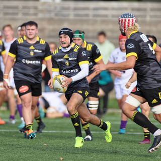 06/11/2022 - Espoirs - Stade Rochelais 31 / 15 SA XV