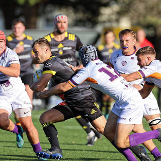 06/11/2022 - Espoirs - Stade Rochelais 31 / 15 SA XV