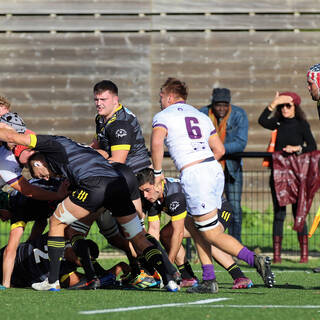 06/11/2022 - Espoirs - Stade Rochelais 31 / 15 SA XV