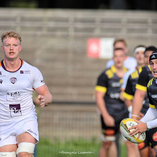 06/11/2022 - Espoirs - Stade Rochelais 31 / 15 SA XV