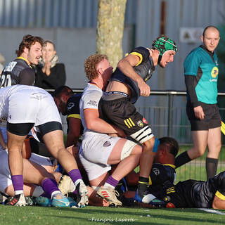 06/11/2022 - Espoirs - Stade Rochelais 31 / 15 SA XV