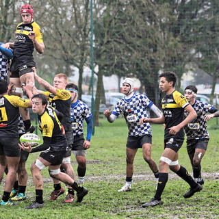 08/02/2020 - Cadets Alamercery - J10 - Stade Rochelais 22 / 12 Bordeaux Bègles