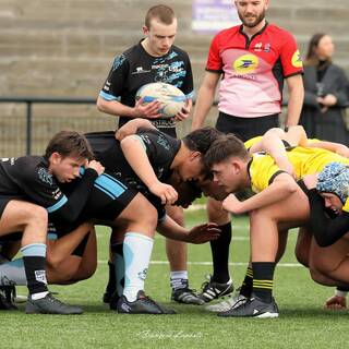 08/03/2025 - U16 - Stade Rochelais 44 / 34 Massy