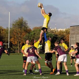 09/11/2024 - Crabos - Stade Rochelais 63 - 10 SA XV