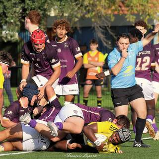 09/11/2024 - Crabos - Stade Rochelais 63 - 10 SA XV