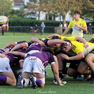 09/11/2024 - Crabos - Stade Rochelais 63 - 10 SA XV