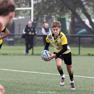 09/11/2024 - Gaudermen - Stade Rochelais 51 - 0 Rouen