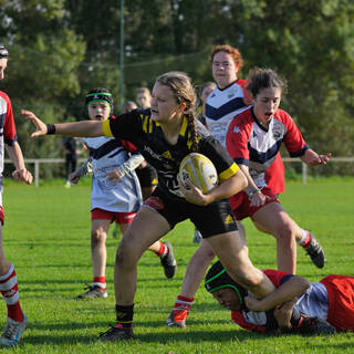 09/11/2024 - U15 Filles - Challenge Fédéral 