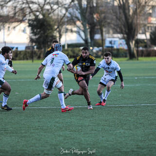 10/02/2024 - Espoirs - Stade Rochelais 24 / 15 Section Paloise