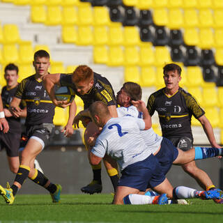 10/11/2019 - Espoirs - J8 - Stade Rochelais 34 / 14 Montpellier