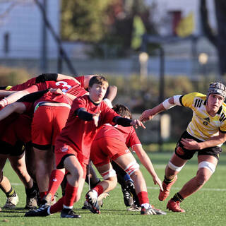 10/12/2022 - Cadets Alamercery - Stade Rochelais 50 / 3 Aurillac