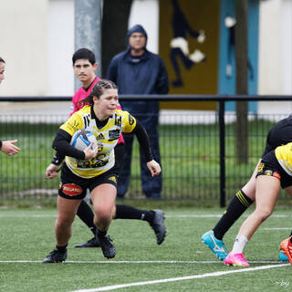 10/12/2023 - Federale 2 - Stade Rochelais 53 / 6 La Couronne