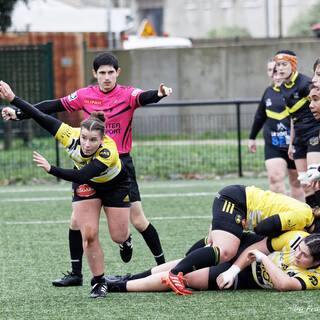 10/12/2023 - Federale 2 - Stade Rochelais 53 / 6 La Couronne